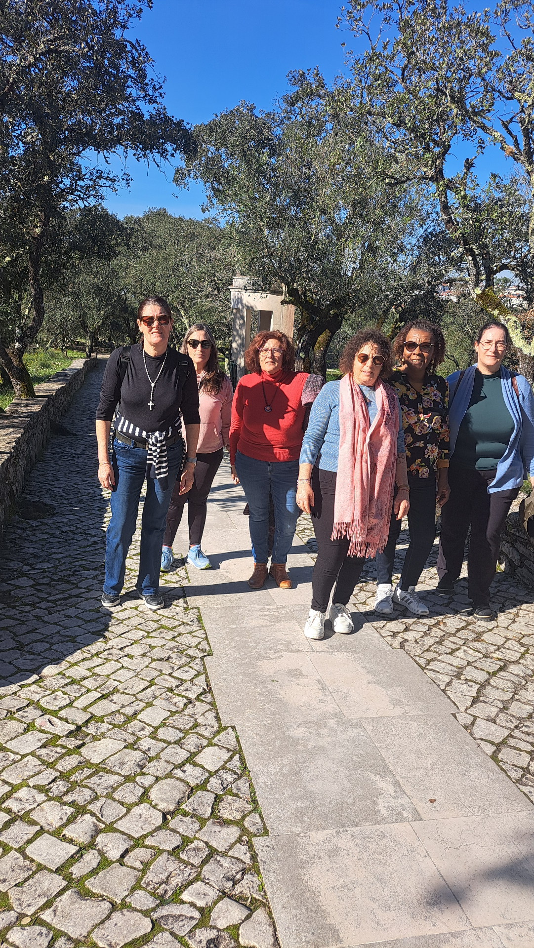 Caminho das oliveiras, Alentejo